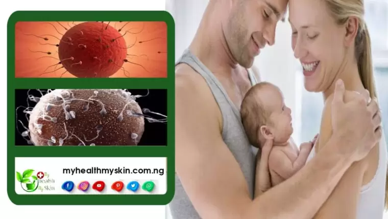 What Is Fertility And How To Identify Signs Of Poor Fertility