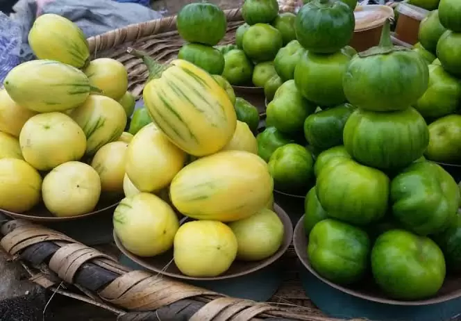 garden eggs health benefits and side effects