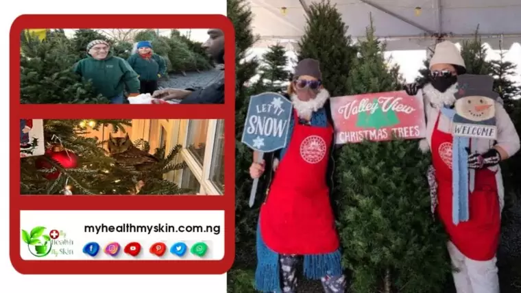 Christmas tree lot attendant jobs in Canada with Free Visa Sponsorship
